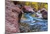 USA, Utah, Zion National Park. Stream in Autumn Landscape-Jay O'brien-Mounted Photographic Print