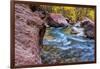 USA, Utah, Zion National Park. Stream in Autumn Landscape-Jay O'brien-Framed Photographic Print