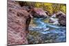 USA, Utah, Zion National Park. Stream in Autumn Landscape-Jay O'brien-Mounted Photographic Print