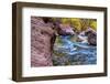 USA, Utah, Zion National Park. Stream in Autumn Landscape-Jay O'brien-Framed Photographic Print