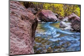 USA, Utah, Zion National Park. Stream in Autumn Landscape-Jay O'brien-Mounted Photographic Print