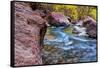 USA, Utah, Zion National Park. Stream in Autumn Landscape-Jay O'brien-Framed Stretched Canvas