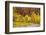 USA, Utah, Zion National Park. Stream in Autumn Landscape-Jay O'brien-Framed Photographic Print