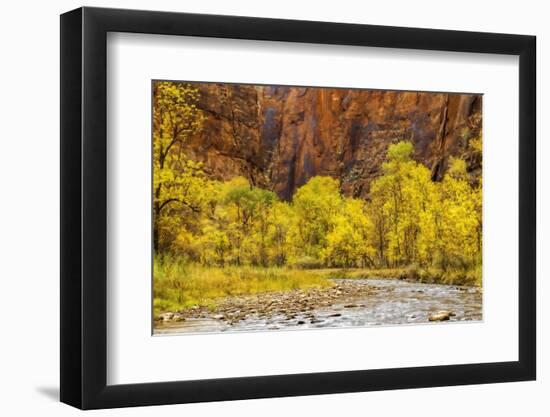 USA, Utah, Zion National Park. Stream in Autumn Landscape-Jay O'brien-Framed Photographic Print