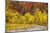 USA, Utah, Zion National Park. Stream in Autumn Landscape-Jay O'brien-Mounted Photographic Print