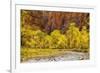 USA, Utah, Zion National Park. Stream in Autumn Landscape-Jay O'brien-Framed Photographic Print