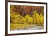 USA, Utah, Zion National Park. Stream in Autumn Landscape-Jay O'brien-Framed Photographic Print