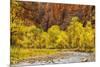 USA, Utah, Zion National Park. Stream in Autumn Landscape-Jay O'brien-Mounted Photographic Print