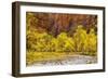 USA, Utah, Zion National Park. Stream in Autumn Landscape-Jay O'brien-Framed Photographic Print