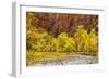 USA, Utah, Zion National Park. Stream in Autumn Landscape-Jay O'brien-Framed Photographic Print