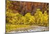 USA, Utah, Zion National Park. Stream in Autumn Landscape-Jay O'brien-Mounted Photographic Print