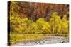 USA, Utah, Zion National Park. Stream in Autumn Landscape-Jay O'brien-Stretched Canvas