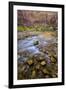 USA, Utah, Zion National Park. Stream in Autumn Scenic-Jay O'brien-Framed Photographic Print