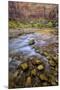 USA, Utah, Zion National Park. Stream in Autumn Scenic-Jay O'brien-Mounted Photographic Print