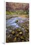 USA, Utah, Zion National Park. Stream in Autumn Scenic-Jay O'brien-Framed Premium Photographic Print