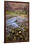 USA, Utah, Zion National Park. Stream in Autumn Scenic-Jay O'brien-Framed Premium Photographic Print