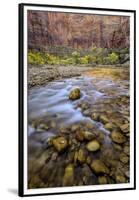 USA, Utah, Zion National Park. Stream in Autumn Scenic-Jay O'brien-Framed Premium Photographic Print