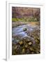 USA, Utah, Zion National Park. Stream in Autumn Scenic-Jay O'brien-Framed Premium Photographic Print