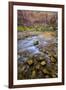 USA, Utah, Zion National Park. Stream in Autumn Scenic-Jay O'brien-Framed Premium Photographic Print