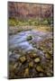 USA, Utah, Zion National Park. Stream in Autumn Scenic-Jay O'brien-Mounted Photographic Print