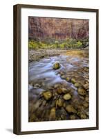 USA, Utah, Zion National Park. Stream in Autumn Scenic-Jay O'brien-Framed Photographic Print