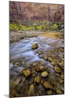 USA, Utah, Zion National Park. Stream in Autumn Scenic-Jay O'brien-Mounted Photographic Print