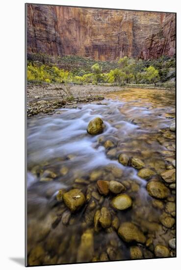 USA, Utah, Zion National Park. Stream in Autumn Scenic-Jay O'brien-Mounted Photographic Print