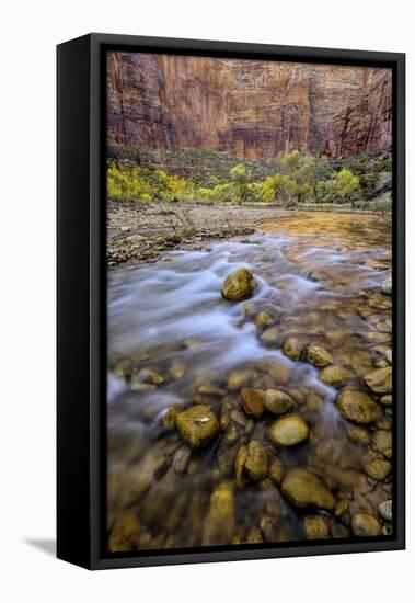 USA, Utah, Zion National Park. Stream in Autumn Scenic-Jay O'brien-Framed Stretched Canvas