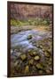 USA, Utah, Zion National Park. Stream in Autumn Scenic-Jay O'brien-Framed Photographic Print