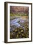 USA, Utah, Zion National Park. Stream in Autumn Scenic-Jay O'brien-Framed Photographic Print