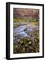 USA, Utah, Zion National Park. Stream in Autumn Scenic-Jay O'brien-Framed Photographic Print