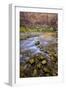 USA, Utah, Zion National Park. Stream in Autumn Scenic-Jay O'brien-Framed Photographic Print