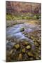 USA, Utah, Zion National Park. Stream in Autumn Scenic-Jay O'brien-Mounted Photographic Print