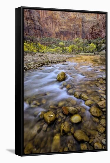 USA, Utah, Zion National Park. Stream in Autumn Scenic-Jay O'brien-Framed Stretched Canvas