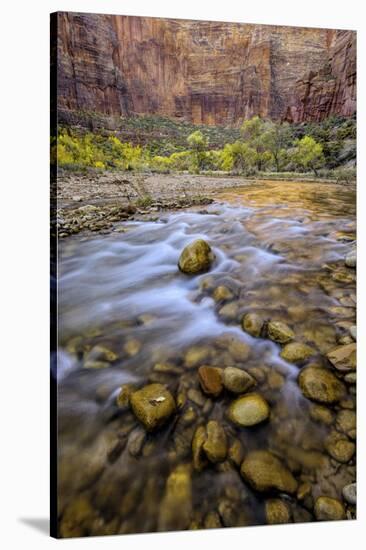 USA, Utah, Zion National Park. Stream in Autumn Scenic-Jay O'brien-Stretched Canvas