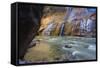 USA, Utah, Zion National Park. the Narrows of the Virgin River-Jamie & Judy Wild-Framed Stretched Canvas