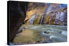 USA, Utah, Zion National Park. the Narrows of the Virgin River-Jamie & Judy Wild-Stretched Canvas