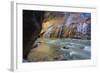 USA, Utah, Zion National Park. the Narrows of the Virgin River-Jamie & Judy Wild-Framed Photographic Print