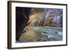 USA, Utah, Zion National Park. the Narrows of the Virgin River-Jamie & Judy Wild-Framed Photographic Print