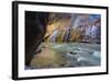 USA, Utah, Zion National Park. the Narrows of the Virgin River-Jamie & Judy Wild-Framed Photographic Print