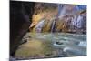 USA, Utah, Zion National Park. the Narrows of the Virgin River-Jamie & Judy Wild-Mounted Photographic Print