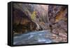 USA, Utah, Zion National Park. the Narrows of the Virgin River-Jamie & Judy Wild-Framed Stretched Canvas