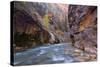 USA, Utah, Zion National Park. the Narrows of the Virgin River-Jamie & Judy Wild-Stretched Canvas