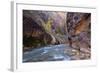 USA, Utah, Zion National Park. the Narrows of the Virgin River-Jamie & Judy Wild-Framed Photographic Print