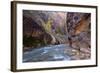 USA, Utah, Zion National Park. the Narrows of the Virgin River-Jamie & Judy Wild-Framed Photographic Print