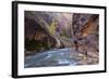 USA, Utah, Zion National Park. the Narrows of the Virgin River-Jamie & Judy Wild-Framed Photographic Print