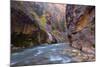 USA, Utah, Zion National Park. the Narrows of the Virgin River-Jamie & Judy Wild-Mounted Photographic Print