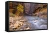 USA, Utah, Zion National Park. the Narrows of the Virgin River-Jamie & Judy Wild-Framed Stretched Canvas