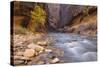 USA, Utah, Zion National Park. the Narrows of the Virgin River-Jamie & Judy Wild-Stretched Canvas