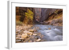 USA, Utah, Zion National Park. the Narrows of the Virgin River-Jamie & Judy Wild-Framed Photographic Print